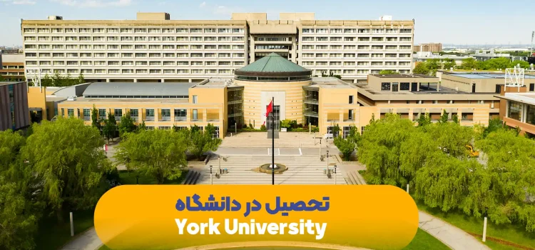 تحصیل-در-دانشگاه-York University
